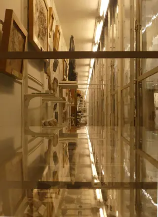 Naturéum in Lausanne – Photo 2 sur 2