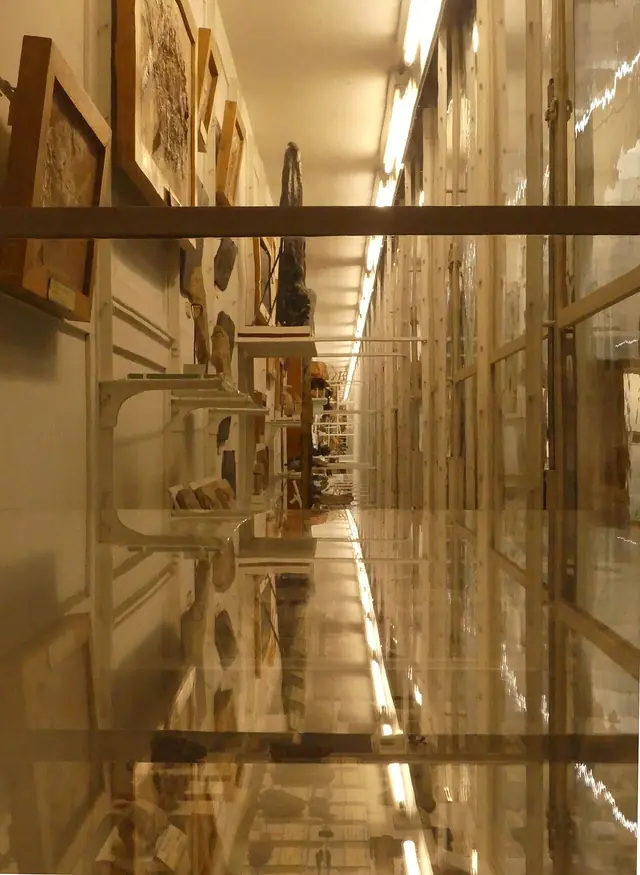 Naturéum in Lausanne – Photo 2 sur 2