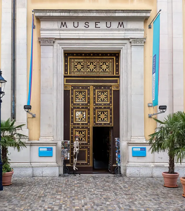 Naturhistorisches Museum Basel in Bâle – Photo 4 sur 10