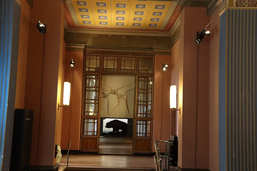 Naturhistorisches Museum Basel in Bâle – Photo 5 sur 10