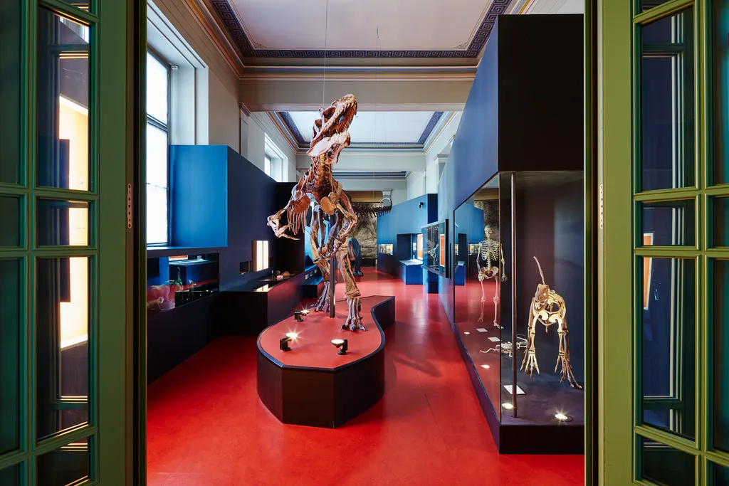 Naturhistorisches Museum Basel in Bâle – Photo 10 sur 10