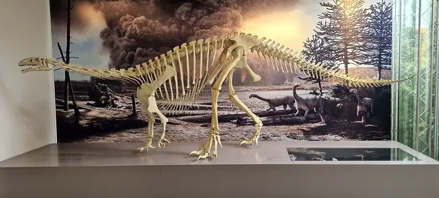 Naturhistorisches Museum Bern in Berne – Photo 3 sur 6
