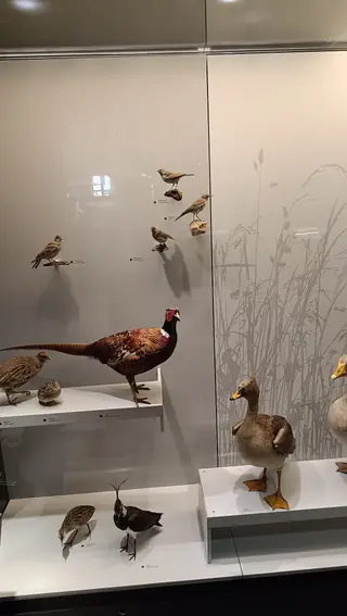 Naturhistorisches Museum der Universität Zürich in Zurich – Photo 2 sur 4