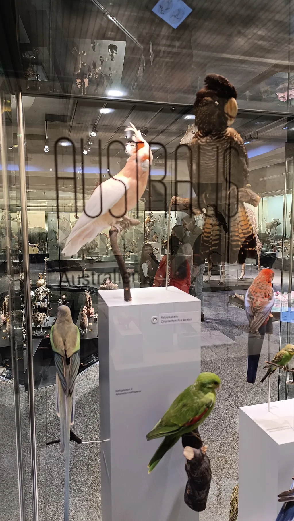 Naturhistorisches Museum der Universität Zürich in Zurich – Photo 4 sur 4