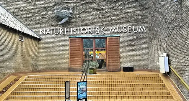 Naturhistorisk Museum Aarhus