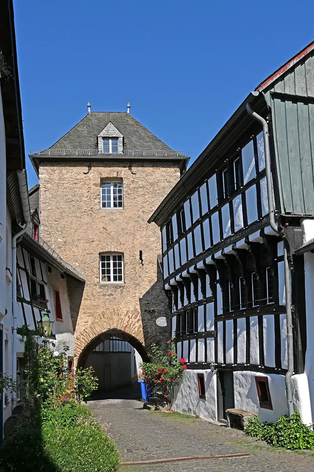 Naturkundliche Ausstellung im Hirtentor in Blankenheim