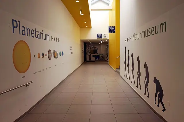 Naturmuseum Augsburg in Augusta