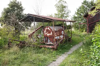 Naturzentrum Schollenmühle in Altstätten – Photo 5 of 5