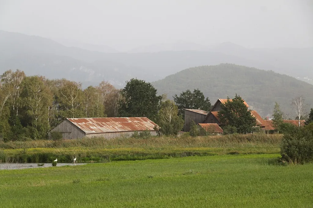 Naturzentrum Schollenmühle in Altstätten