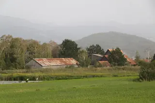 Naturzentrum Schollenmühle in Altstätten