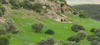 Necropoli di Montessu in Villaperuccio