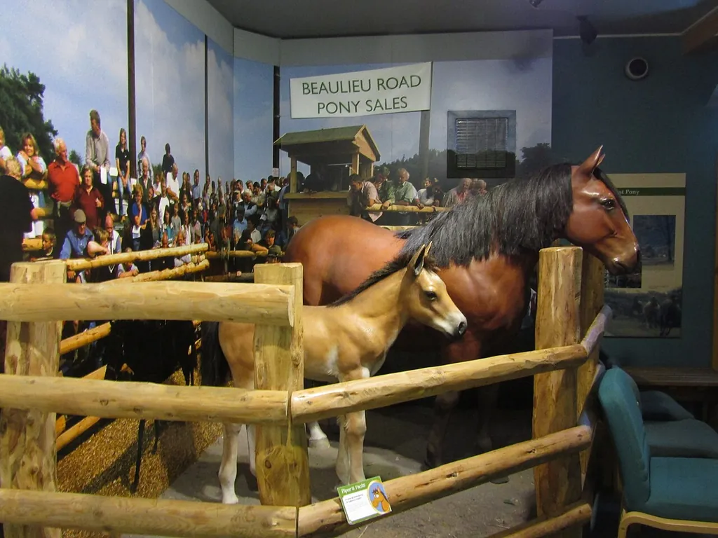 New Forest Heritage Centre in Lyndhurst – Photo 6 of 7