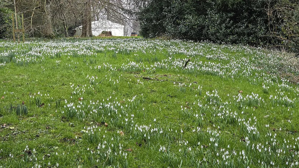Newark Park in Wotton-under-Edge – Bild 5 von 7