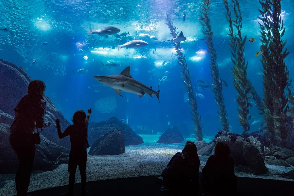 Oceanário de Lisboa – Foto 2 de 10