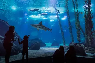 Oceanário de Lisboa – Foto 2 de 10