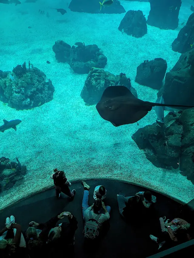 Oceanário de Lisboa – Foto 3 de 10