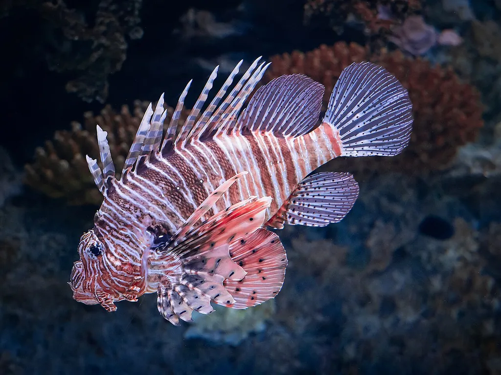 Oceanário de Lisboa – Foto 5 de 10