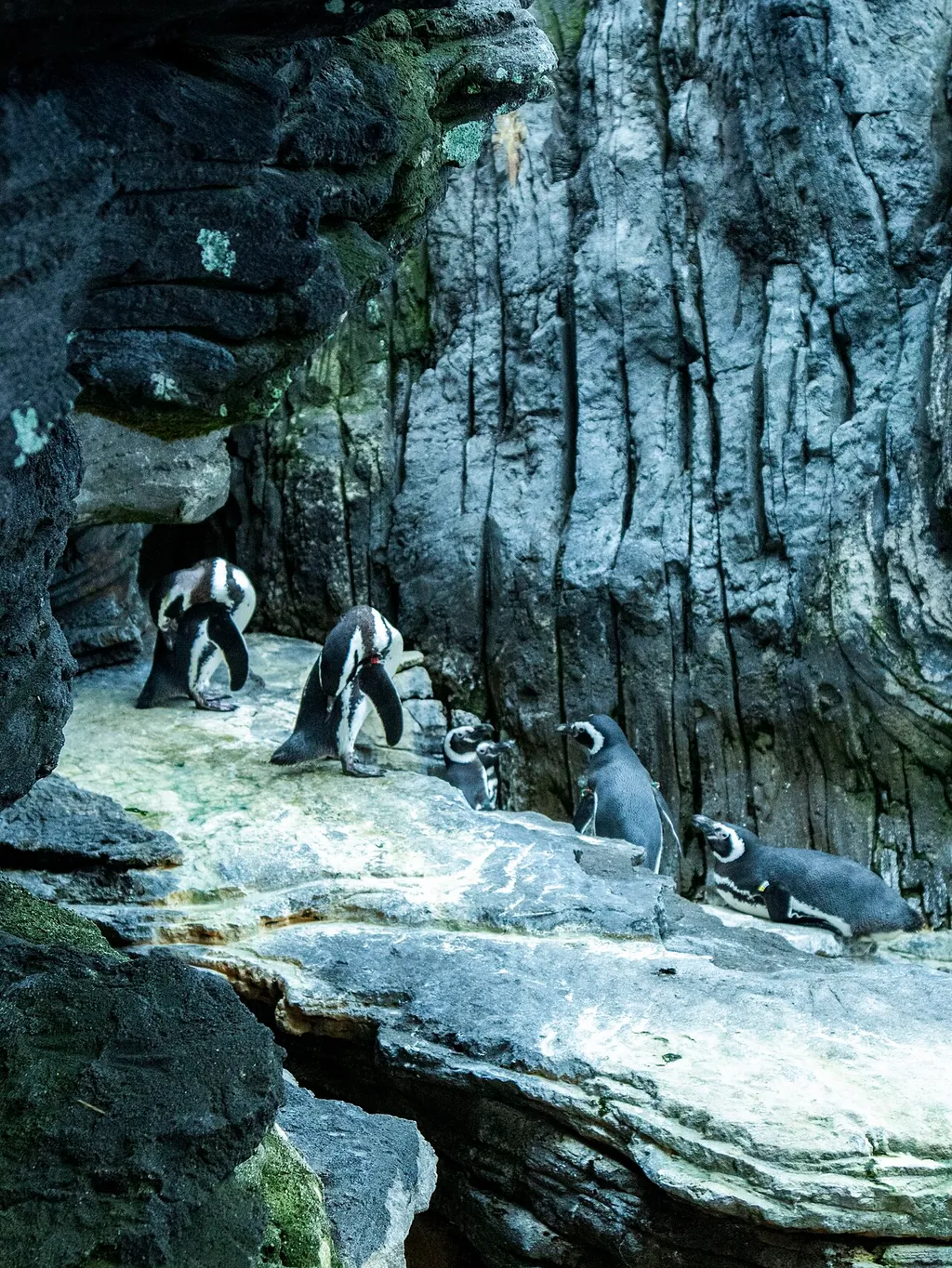 Oceanário de Lisboa – Foto 6 de 10