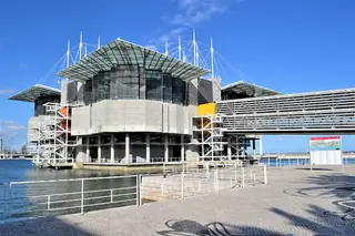 Oceanário de Lisboa – Foto 7 de 10