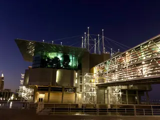 Oceanário de Lisboa – Foto 9 de 10