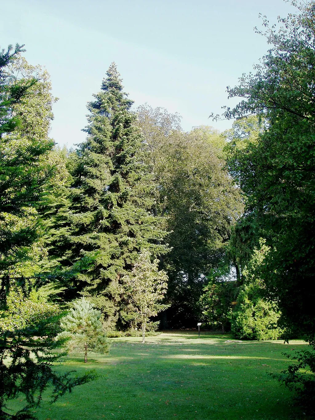 Orto botanico comunale di Lucca