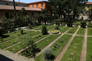 Orto e Museo Botanico di Pisa in Piza