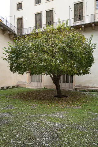 Palladio Museum in Vicenza – Bild 5 von 7