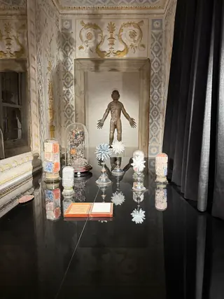 Museo di Palazzo Grimani in Venice – Photo 4 of 8