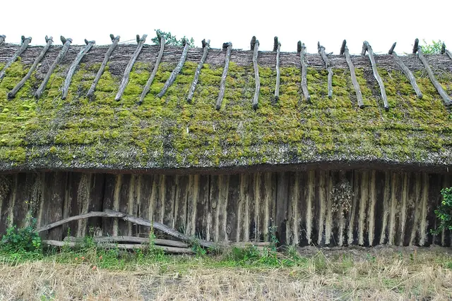 Państwowe Muzeum Archeologiczne w Warszawie in Warsaw – Photo 3 of 8