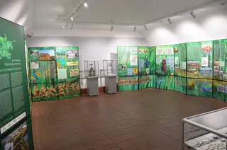 Państwowe Muzeum Archeologiczne w Warszawie in Warsaw – Photo 6 of 8