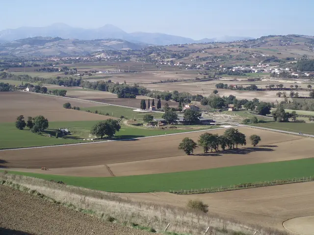 Parco archeologico di Suasa in Castelleone di Suasa