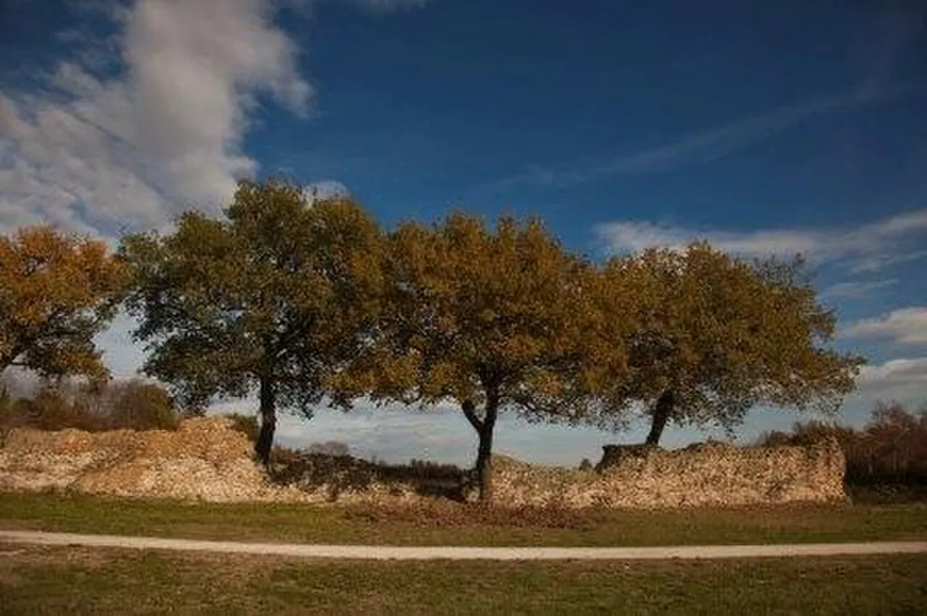 Parco archeologico di Urbs Salvia in Urbisaglia