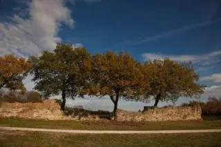 Parco archeologico di Urbs Salvia in Urbisaglia