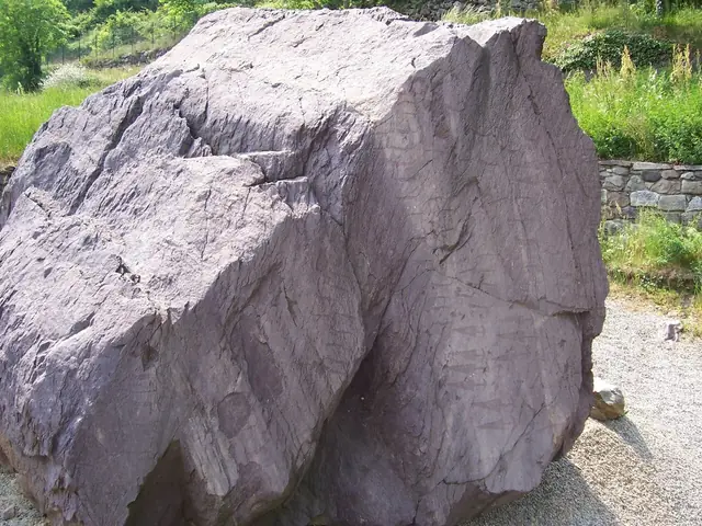 Parco archeologico nazionale dei Massi di Cemmo in Capo di Ponte