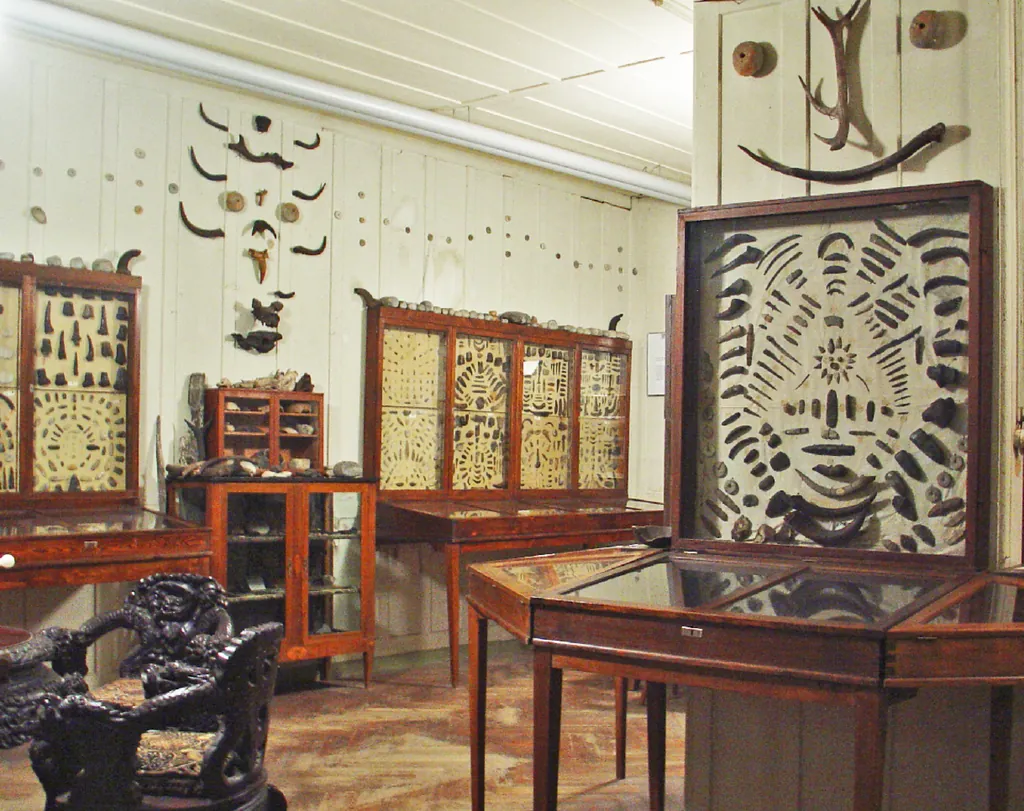 Pfahlbaumuseum Dr. Carl Irlet in Douanne-Daucher