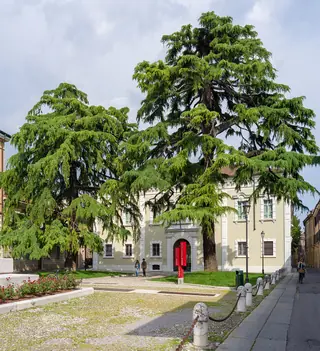 Pinacoteca Tosio Martinengo in Brescia