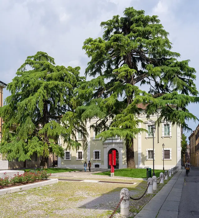 Pinacoteca Tosio Martinengo in Brescia