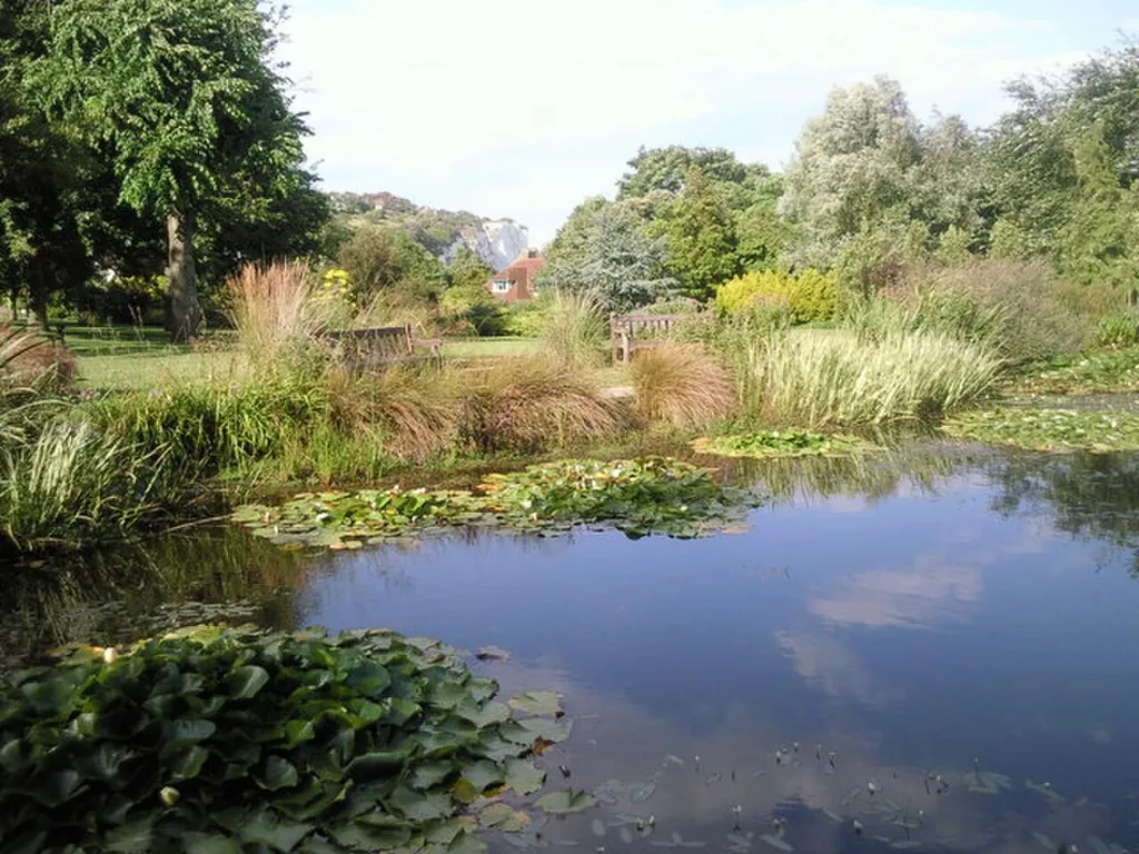 Pines Garden in Dover