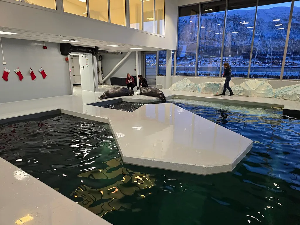 Polaria in Tromsø – Bilde 3 av 6