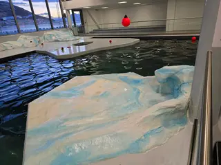 Polaria in Tromsø – Bilde 4 av 6