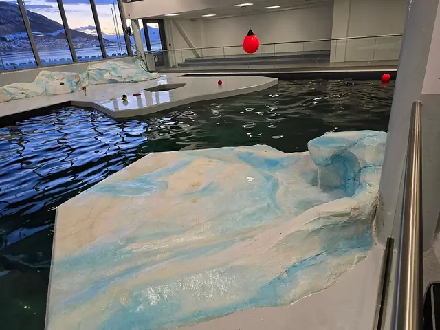 Polaria in Tromsø – Bilde 4 av 6