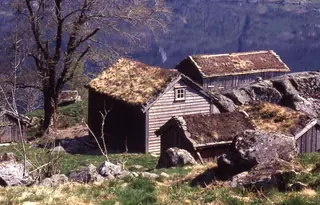 Røynevarden in Nesflaten