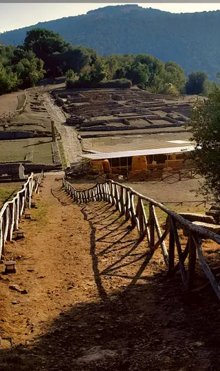 Parco archeologico di Roselle in Grosseto – Photo 3 of 4