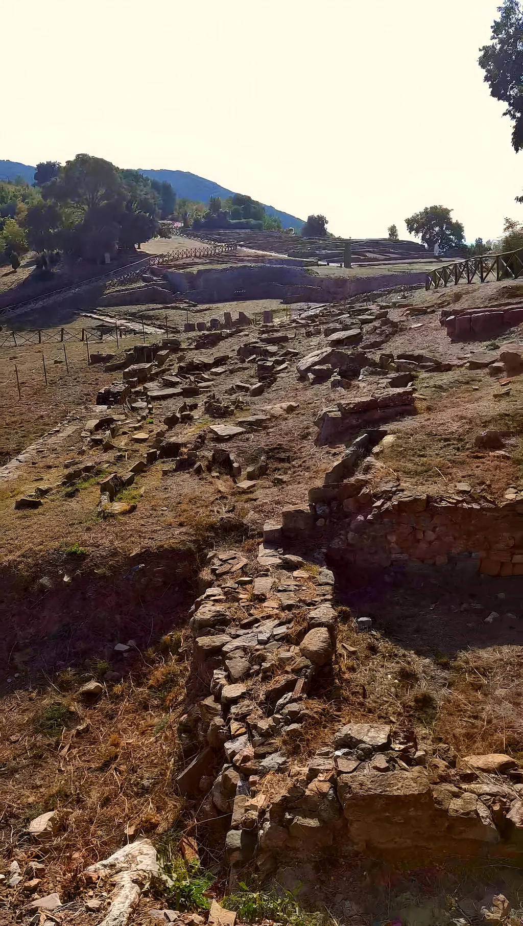 Parco archeologico di Roselle in Grosseto – Photo 4 of 4