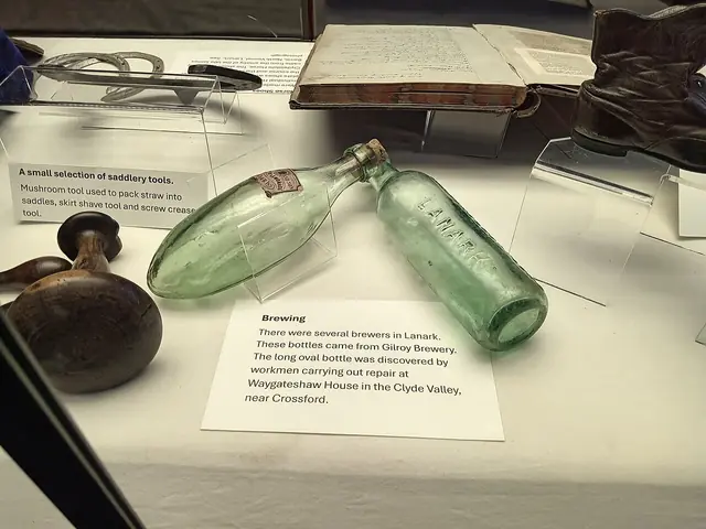 Royal Burgh of Lanark Museum – Photo 3 of 5