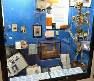 Royal London Hospital Museum – Photo 2 of 7