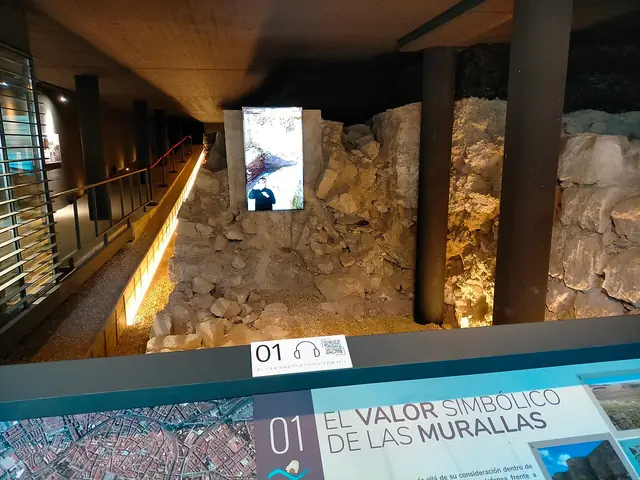Salmantica Sedes Antiqua Castrorum in Salamanca – Photo 3 of 8