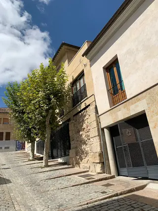 Salmantica Sedes Antiqua Castrorum in Salamanca – Photo 8 of 8