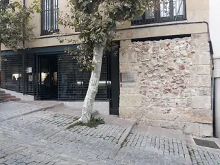 Salmantica Sedes Antiqua Castrorum in Salamanca – Photo 1 of 8