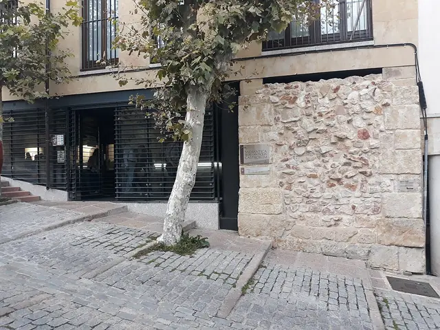 Salmantica Sedes Antiqua Castrorum in Salamanca